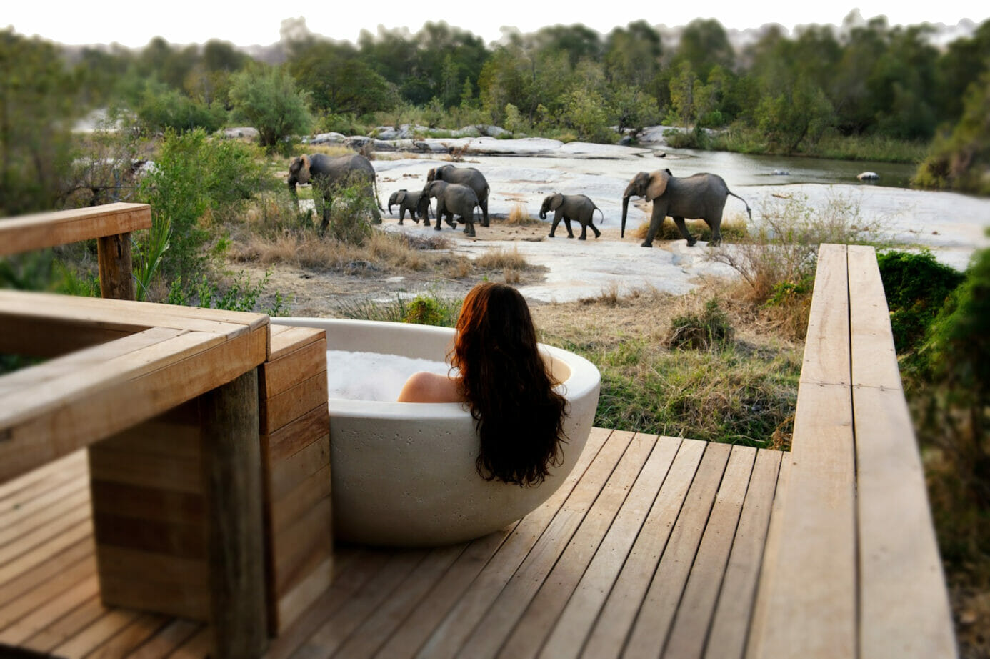 Londolozi — The Birthplace of Responsible Tourism in Africa