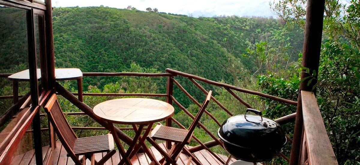 Teniqua Treetops — Where the Forest Meets the Sky on South Africa's Garden Route